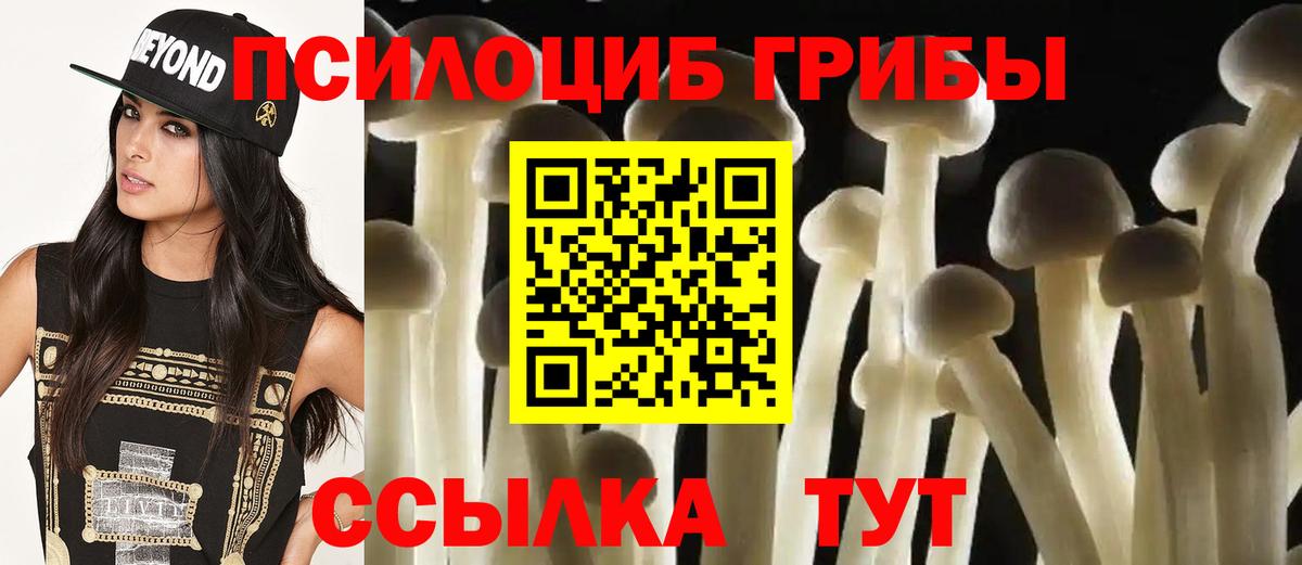 Галлюциногенные грибы MAGIC MUSHROOMS  Галлюциногенные грибы Magic Shrooms  Димитровград  Вход с VPN 